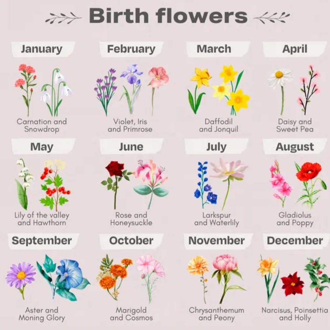 Birth Month Flowers