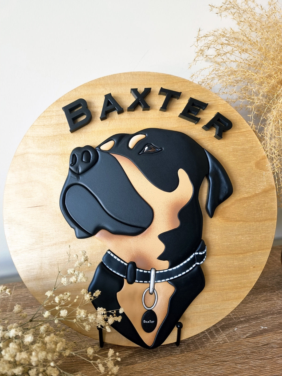 Pet Portraits