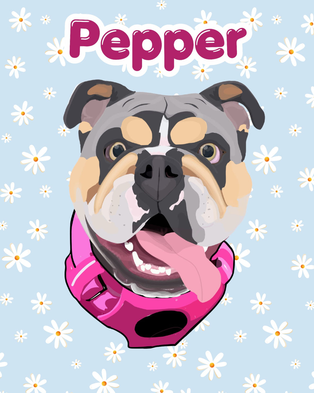 Pet Portraits