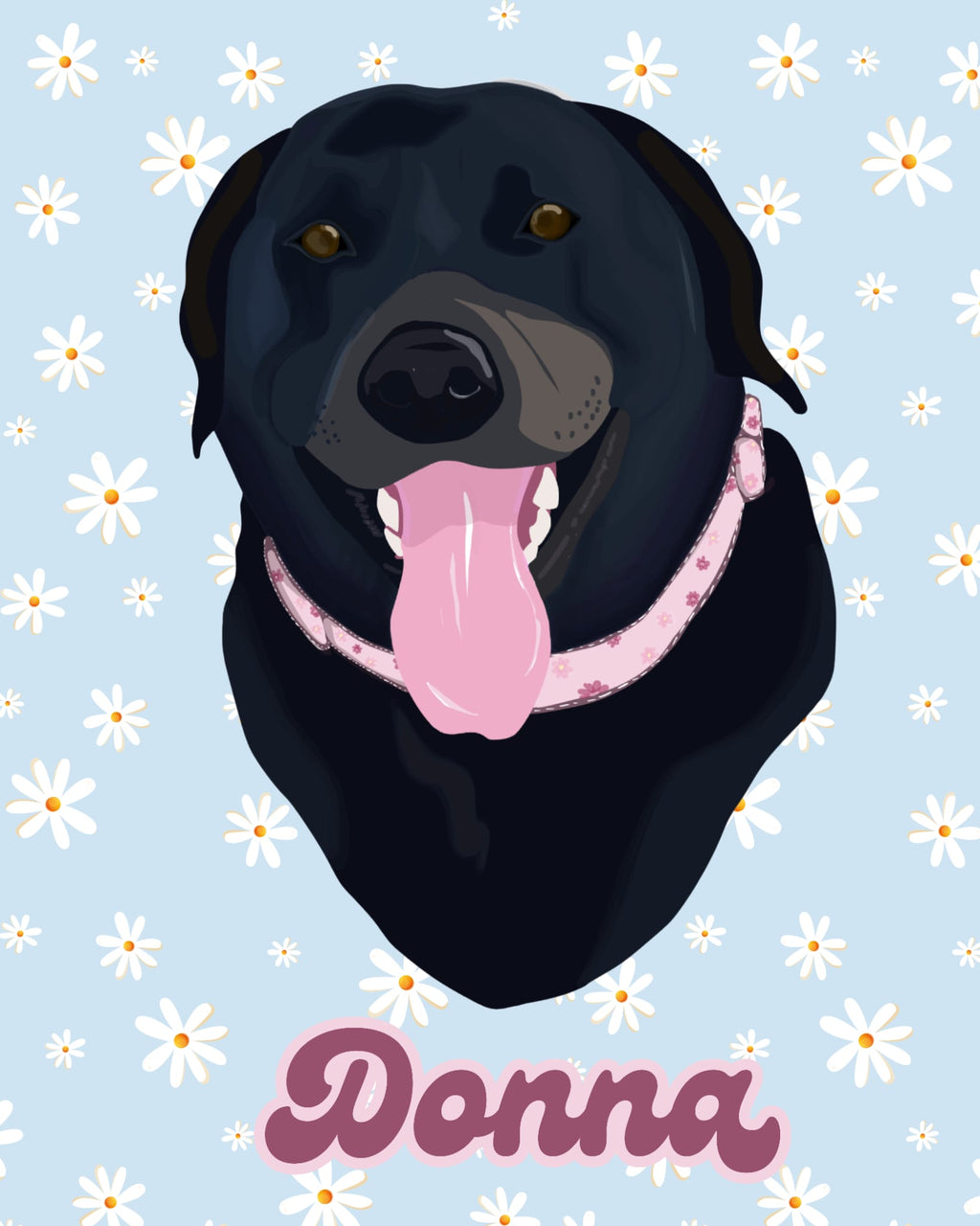 Pet Portraits