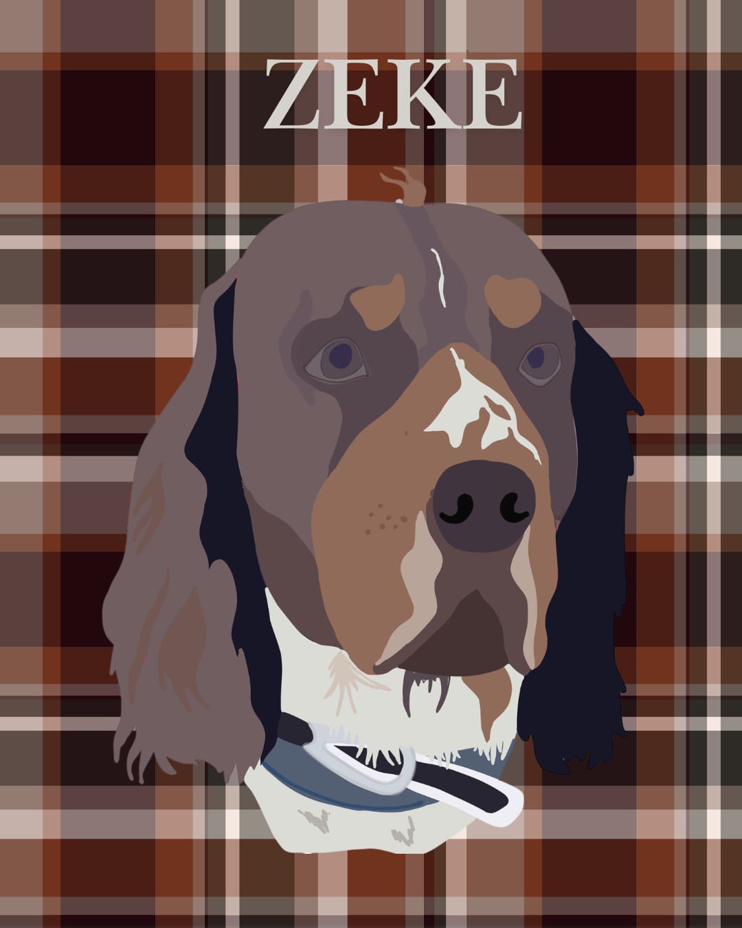 Pet Portraits
