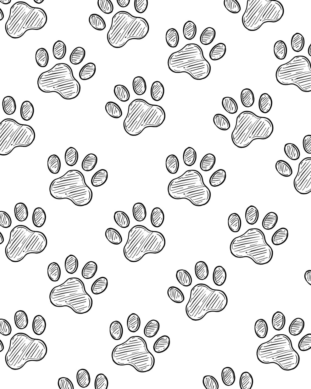 Pet Portraits