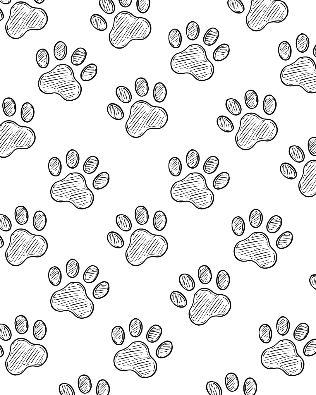 Pet Portraits