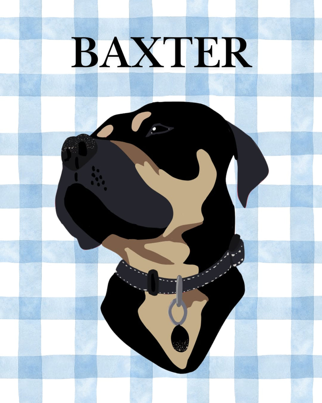 Pet Portraits
