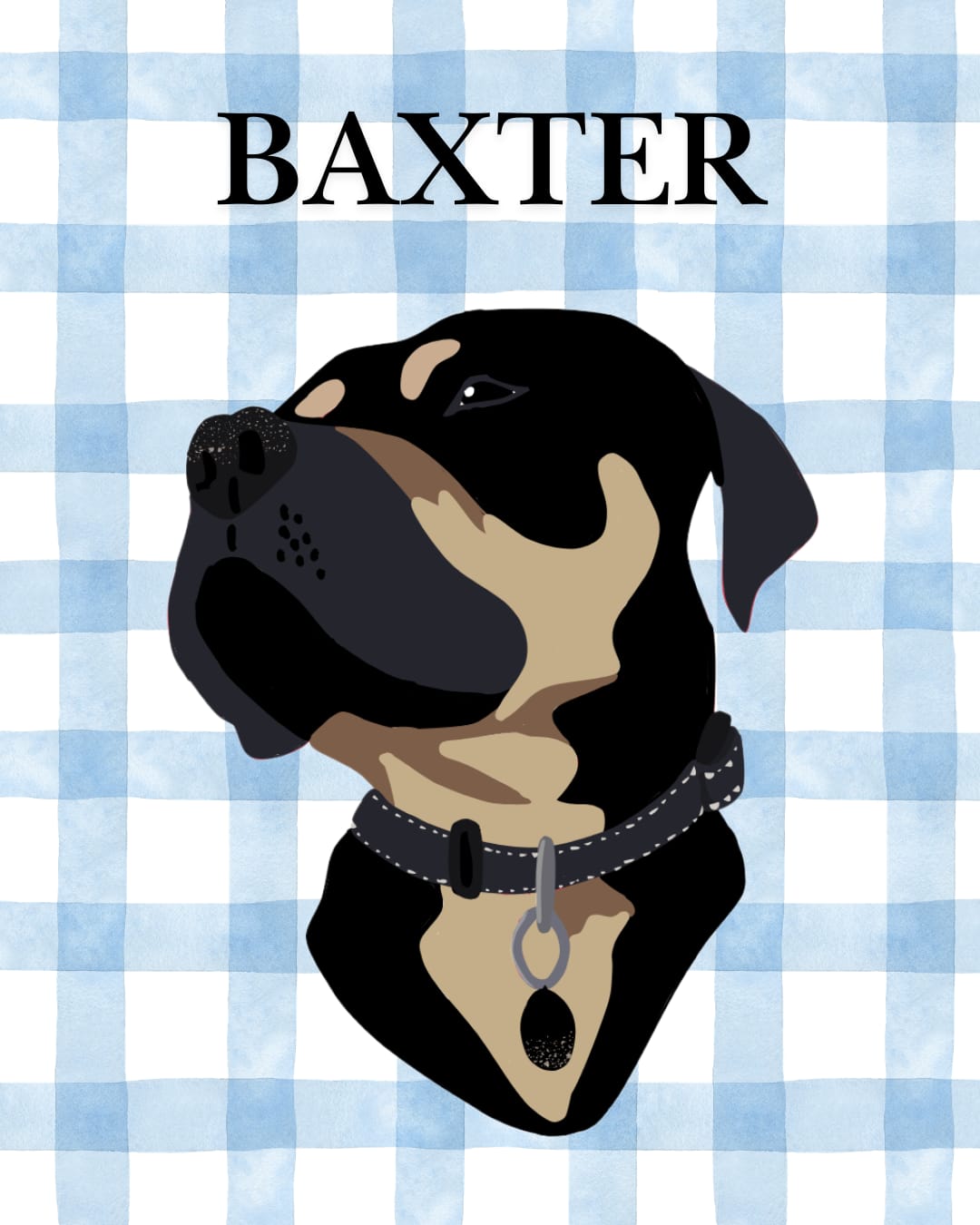 Pet Portraits